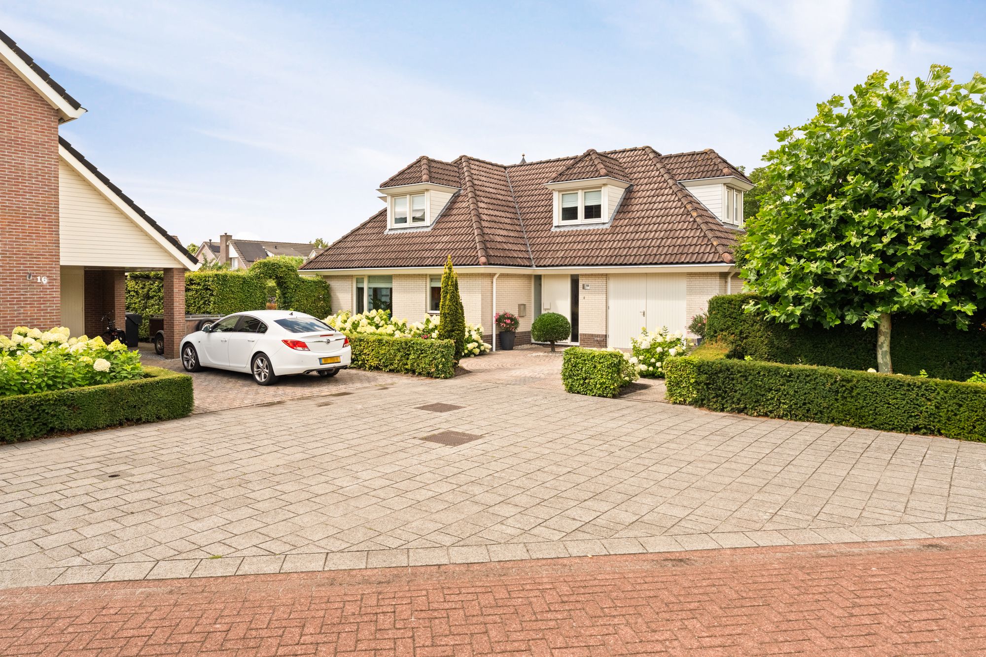 Foto 9 van Kreeft 18