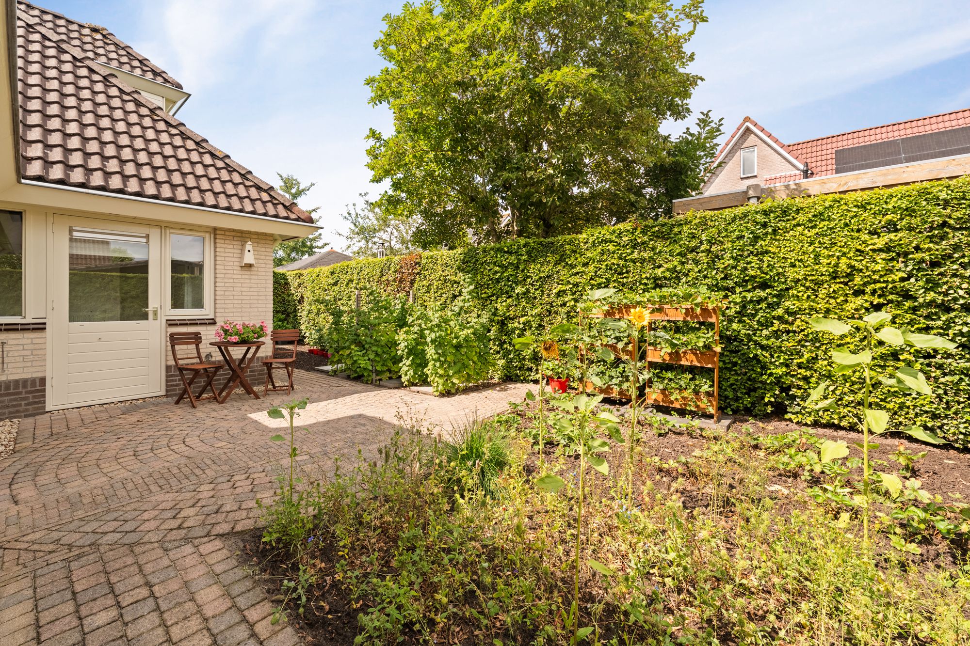 Foto 57 van Kreeft 18