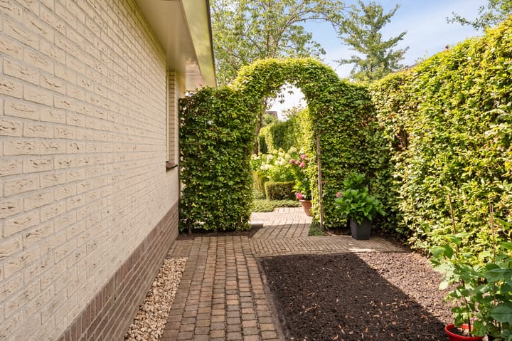 Photo 59 of Kreeft 18