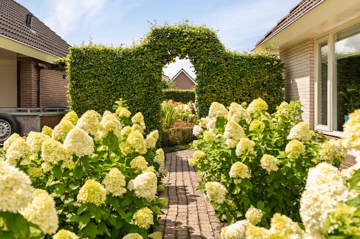 Photo 60 of Kreeft 18