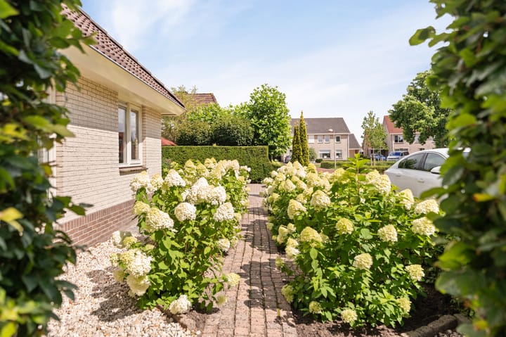 Photo 61 of Kreeft 18