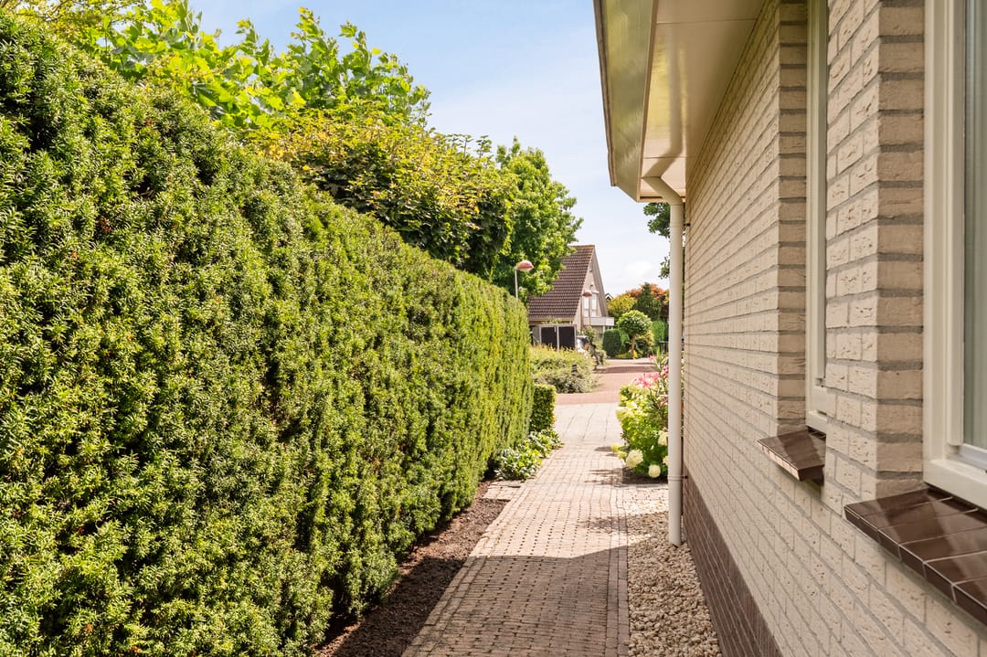 Foto 62 van Kreeft 18