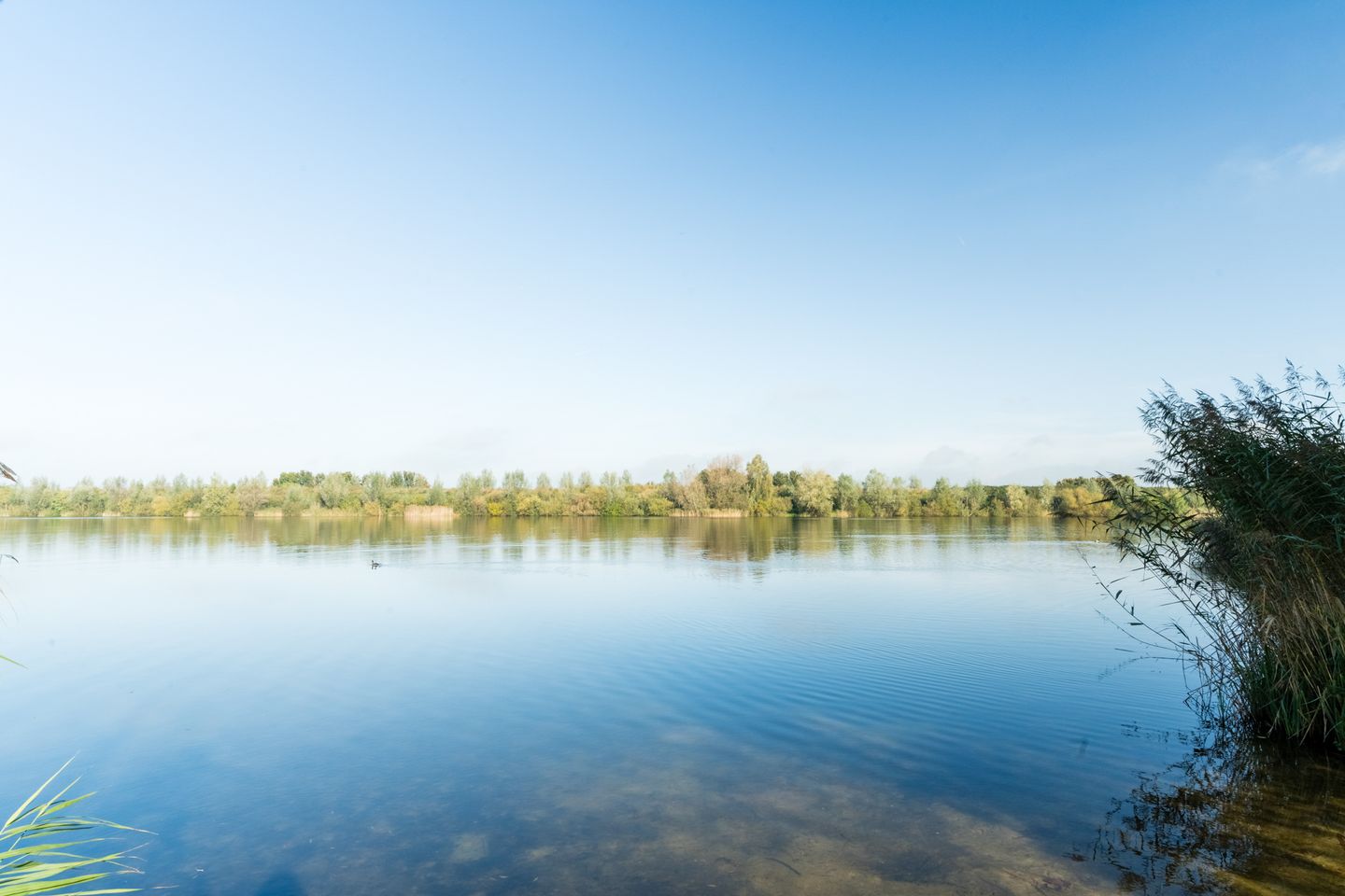 Foto 50 van Vier Heultjes 716