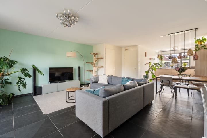 Foto 3 van Zandrug 8