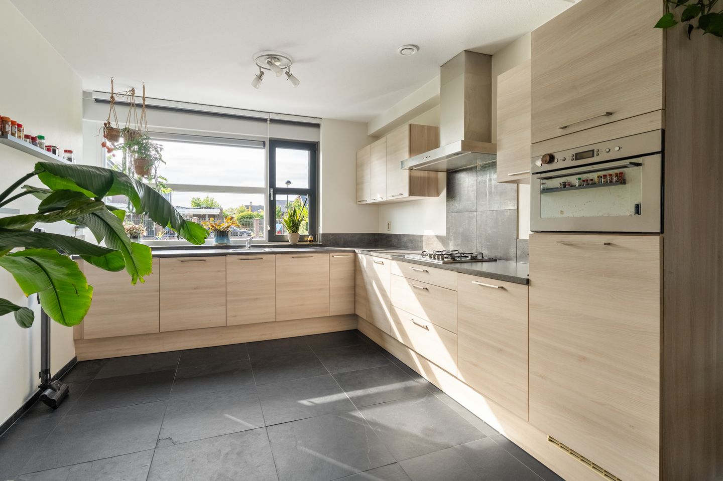 Foto 4 van Zandrug 8