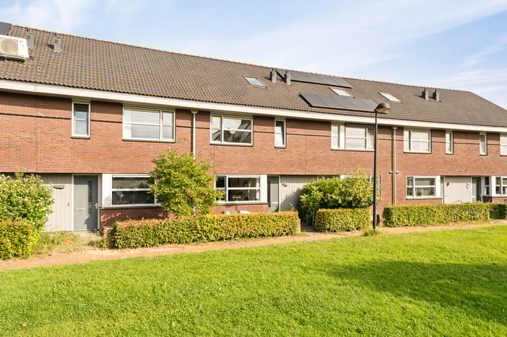 Foto 7 van Zandrug 8