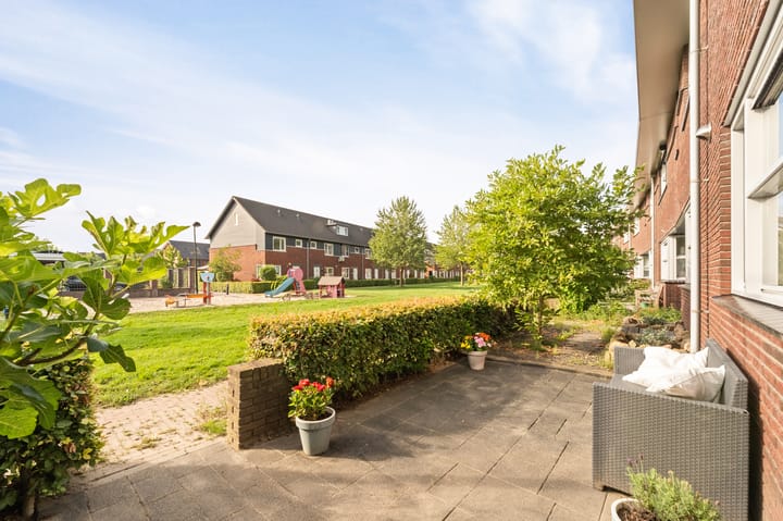 Foto 8 van Zandrug 8