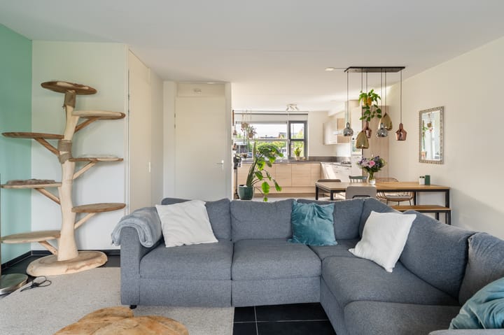 Foto 14 van Zandrug 8