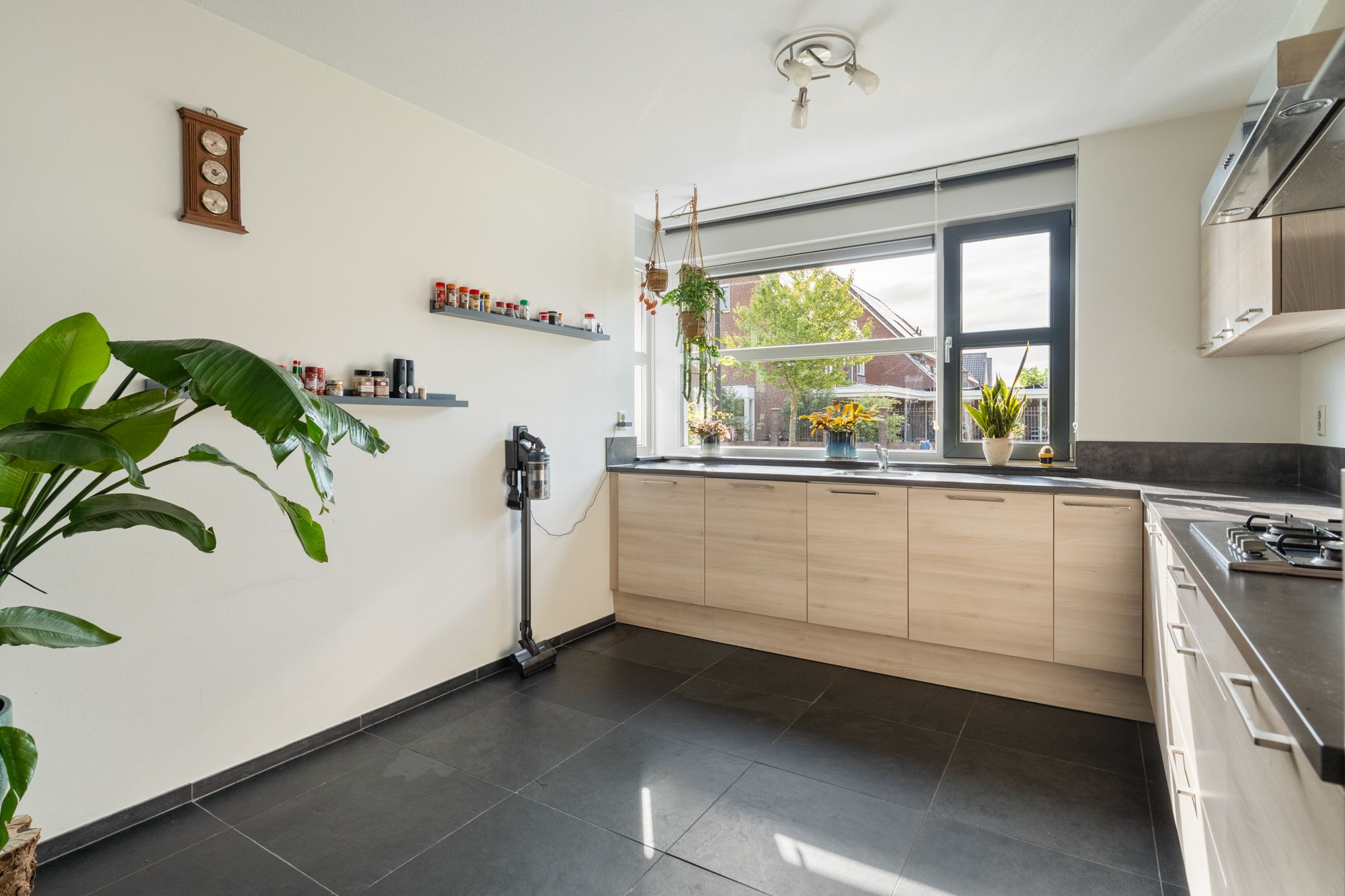 Foto 15 van Zandrug 8