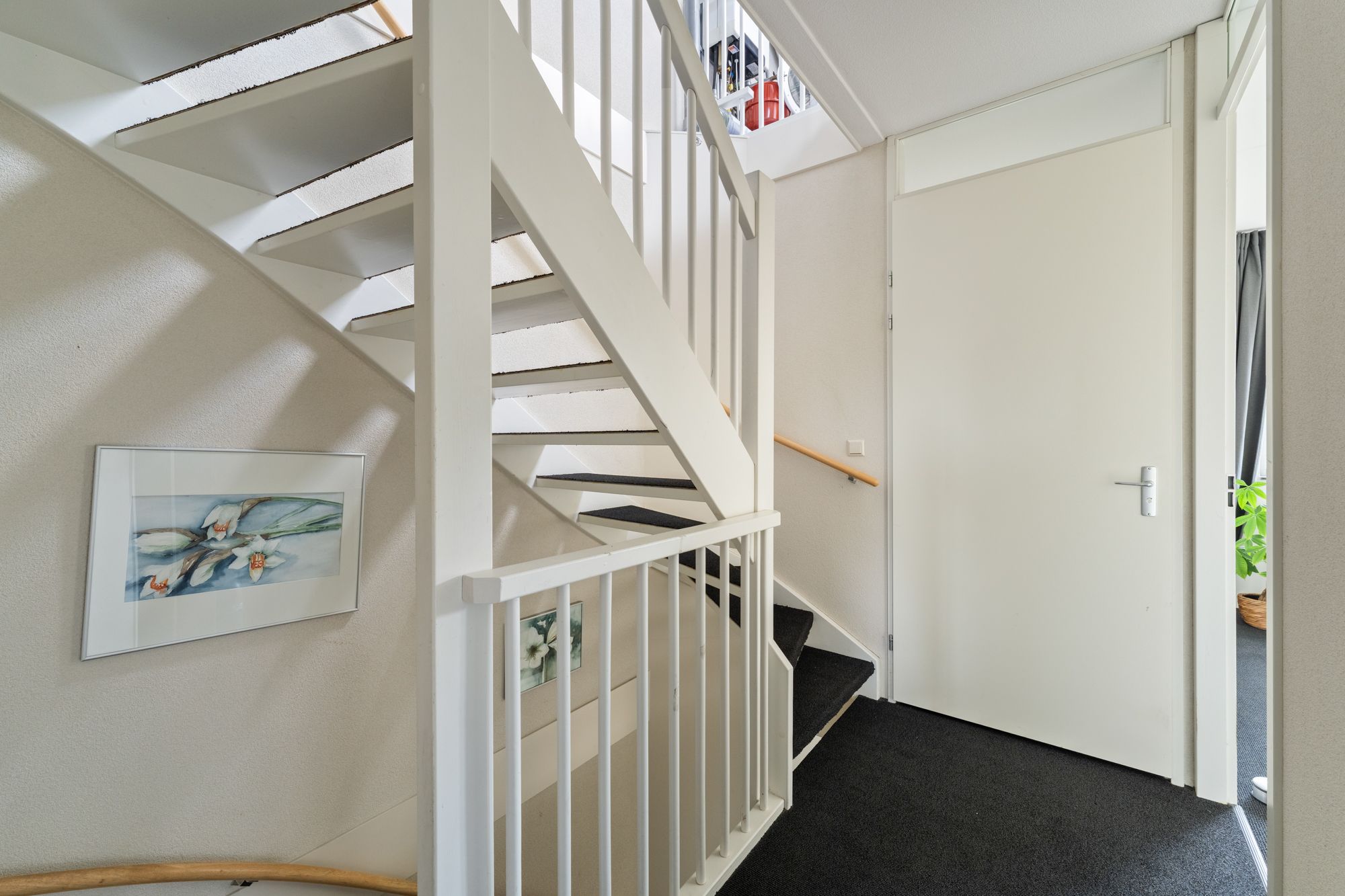 Foto 45 van Zandrug 8