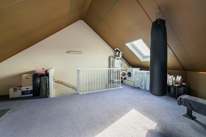 Foto 48 van Zandrug 8