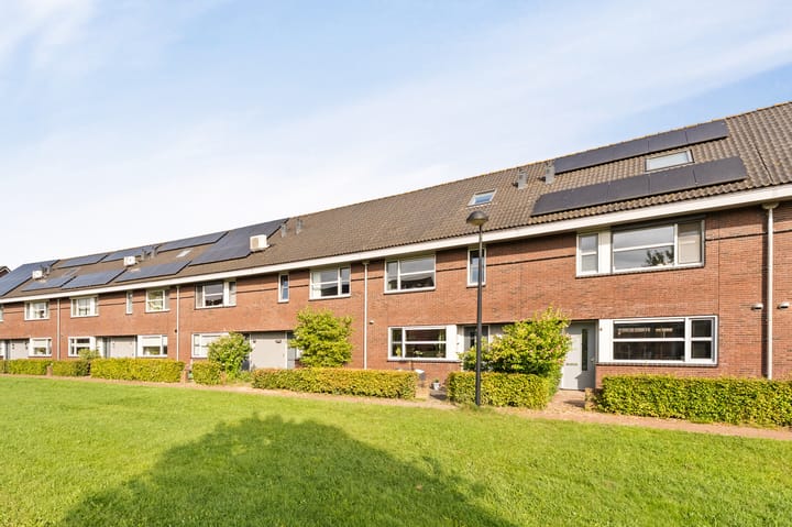 Foto 52 van Zandrug 8