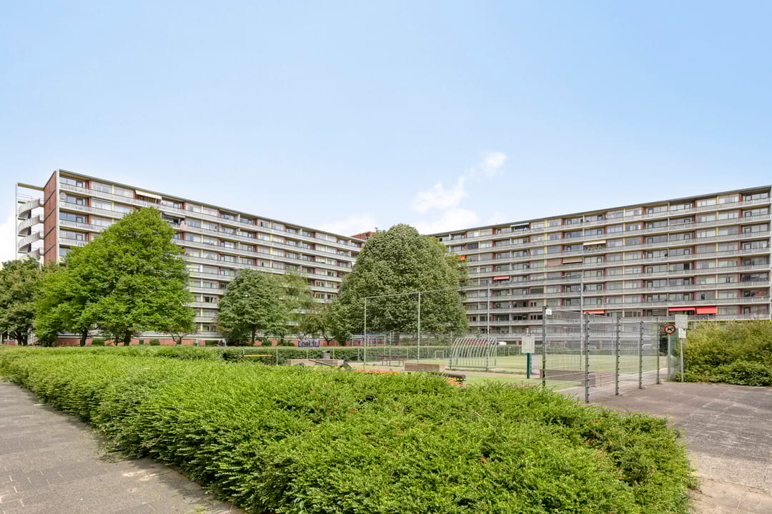 Photo 11 of Osdorper Ban 219