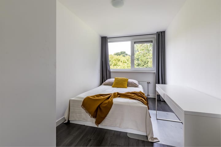 Foto 45 van Alpen Rondweg 8