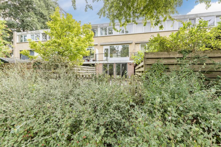 Foto 65 van Alpen Rondweg 8