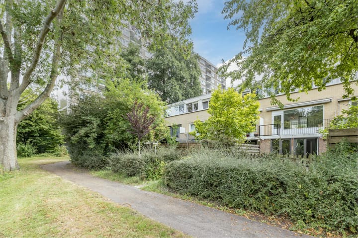 Foto 66 van Alpen Rondweg 8