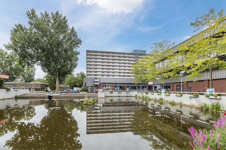 Foto 71 van Alpen Rondweg 8