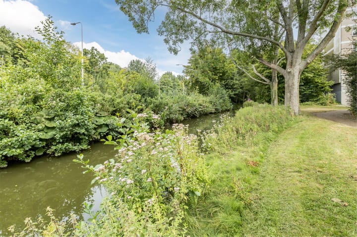 Foto 67 van Alpen Rondweg 8