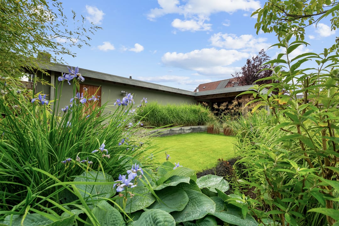 Foto 38 van Beringstraat 5