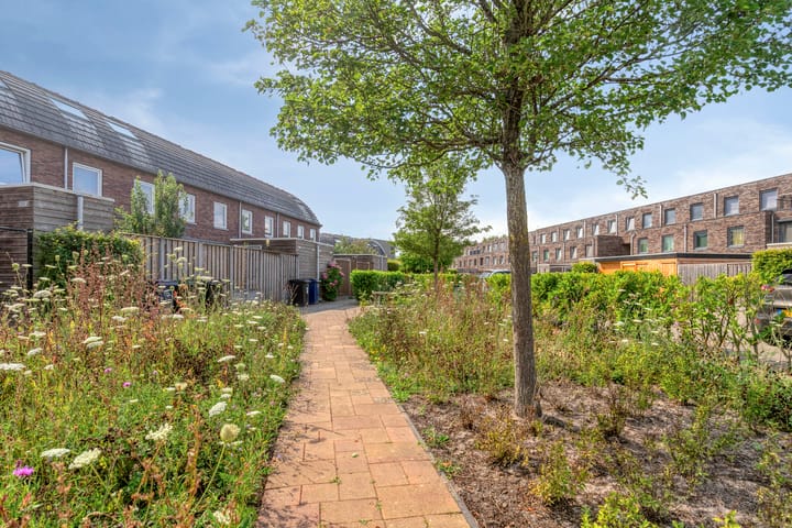 Foto 24 van James Cookroute 134