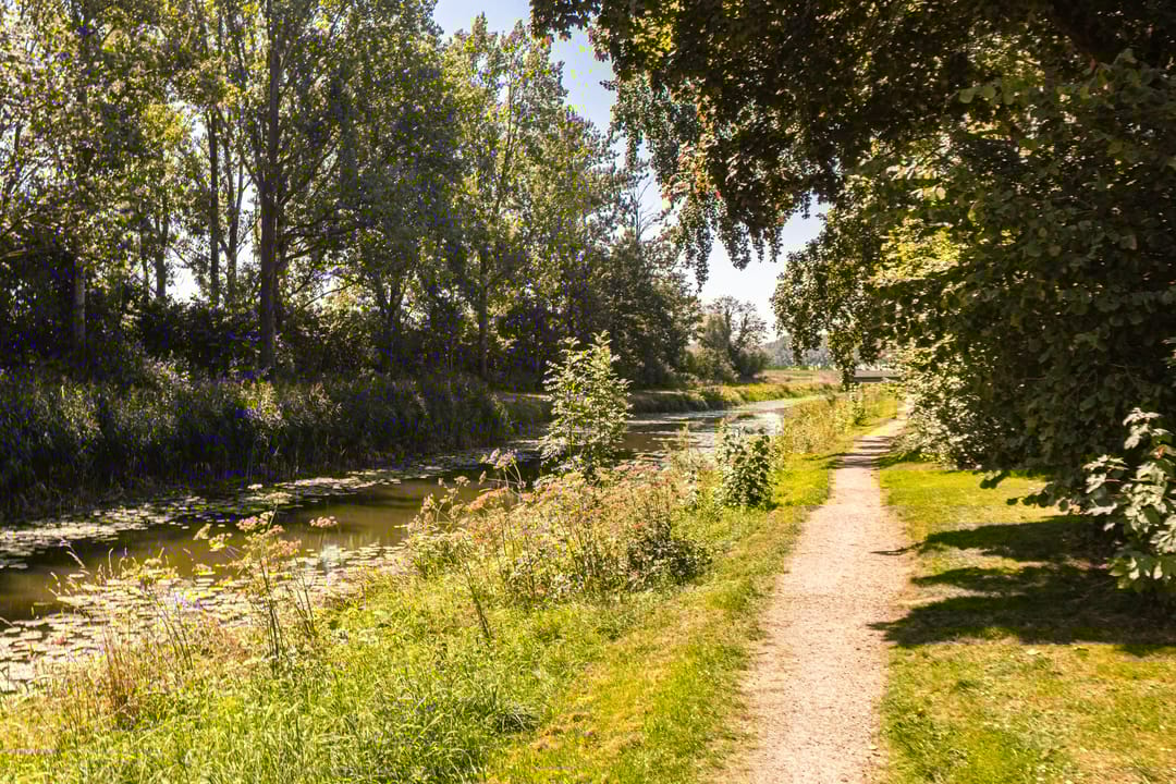 Foto 37 van Barenbroeklaan 55