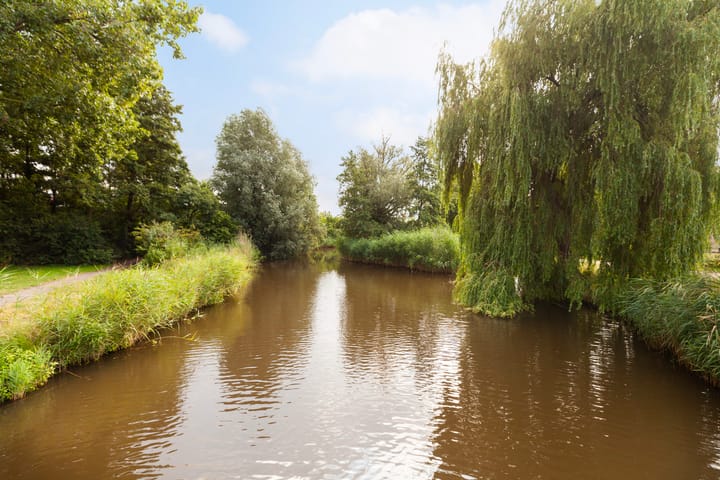 Foto 48 van Kastanjedreef 19