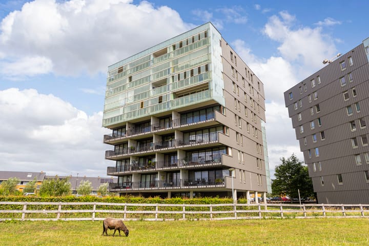 Foto 1 van Luzernevlinder 76