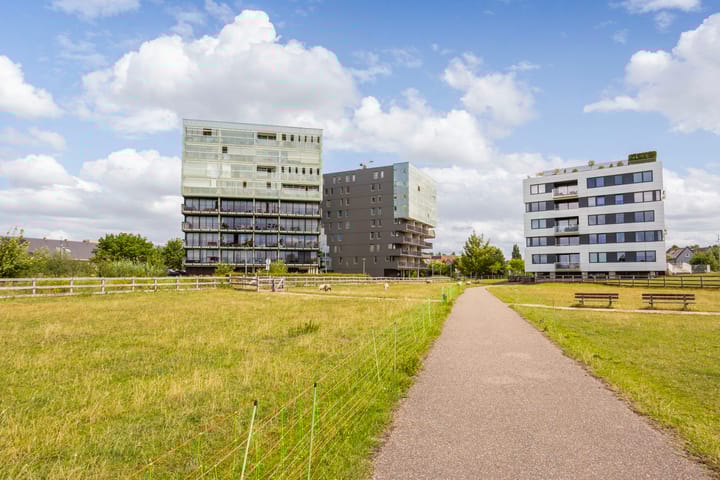 Foto 2 van Luzernevlinder 76