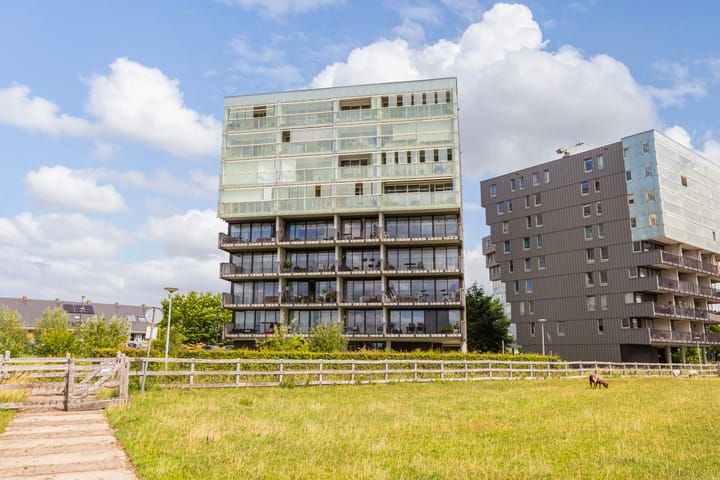 Foto 4 van Luzernevlinder 76