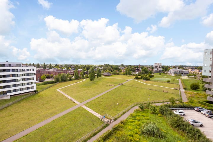 Foto 15 van Luzernevlinder 76