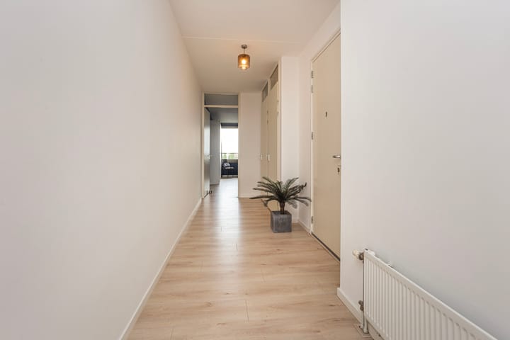 Foto 27 van Luzernevlinder 76