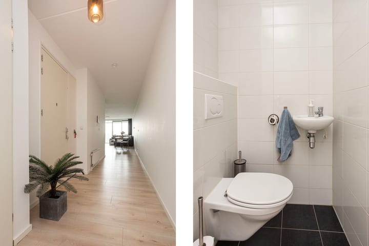 Foto 28 van Luzernevlinder 76