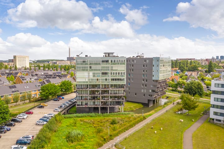 Foto 31 van Luzernevlinder 76