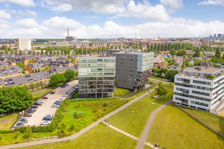 Foto 32 van Luzernevlinder 76