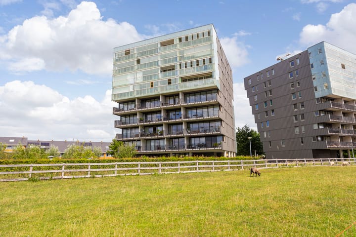 Foto 33 van Luzernevlinder 76