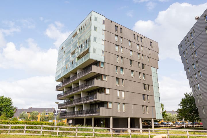 Foto 34 van Luzernevlinder 76