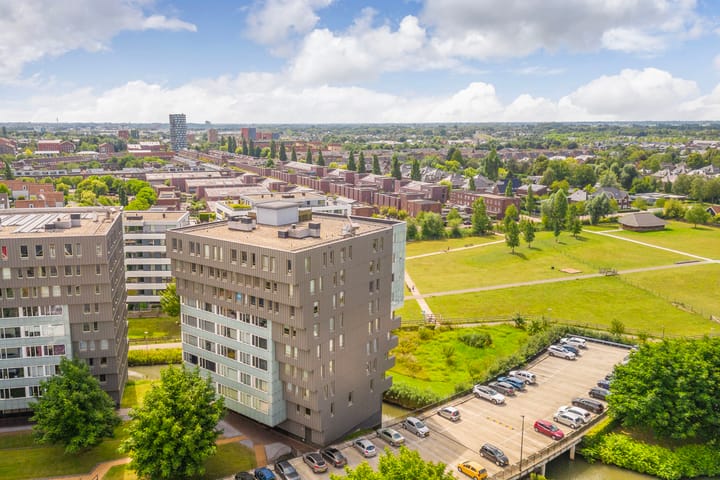 Foto 37 van Luzernevlinder 76