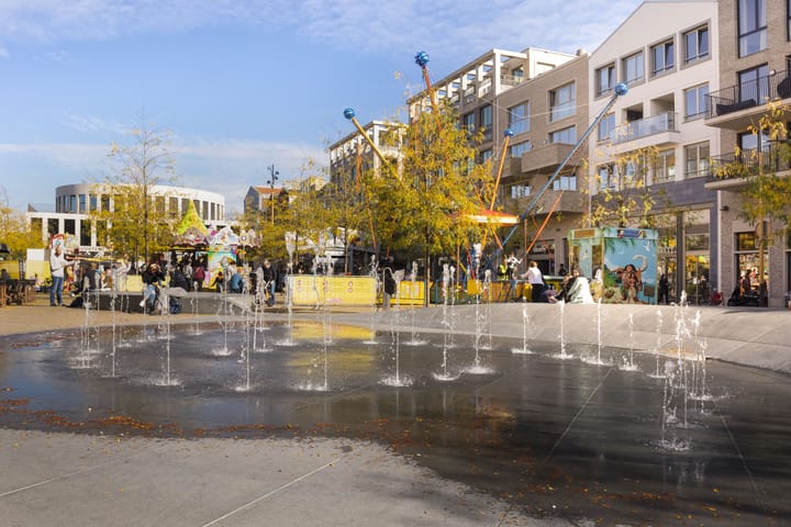 Foto 43 van Luzernevlinder 76