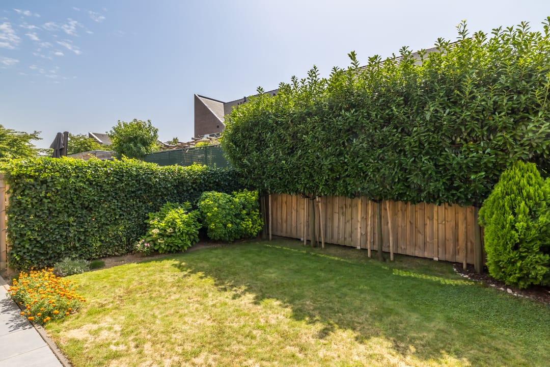 Foto 2 van Laan van Westfalen 134