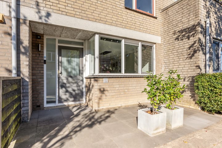 Foto 3 van Laurierzoom 3