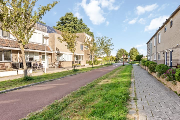 Foto 25 van Laurierzoom 3