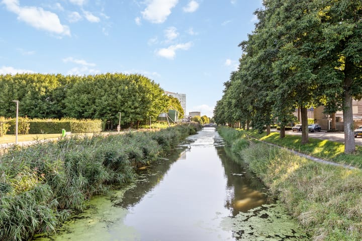 Foto 28 van Laurierzoom 3