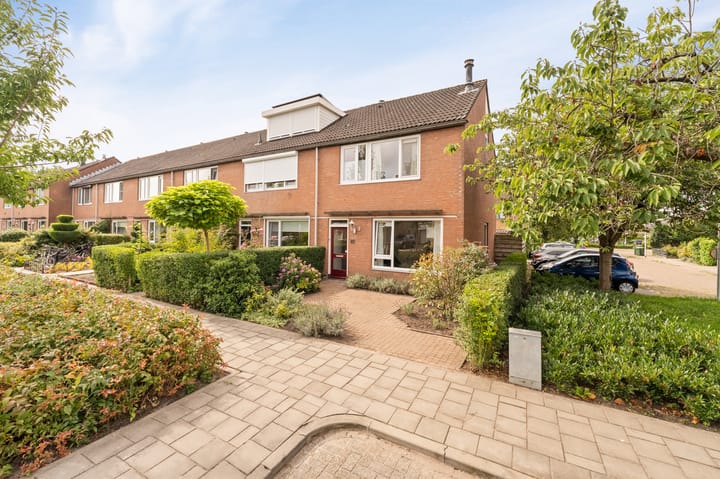 Foto 7 van Boterbloem 22