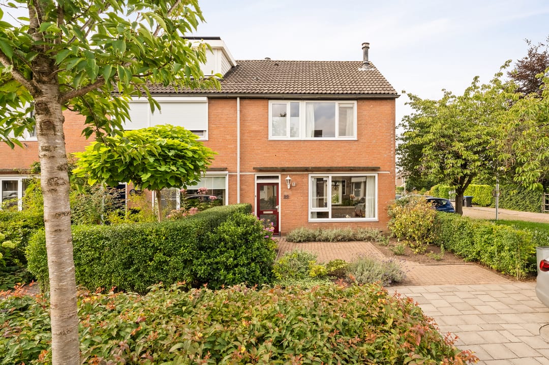 Photo 8 of Boterbloem 22