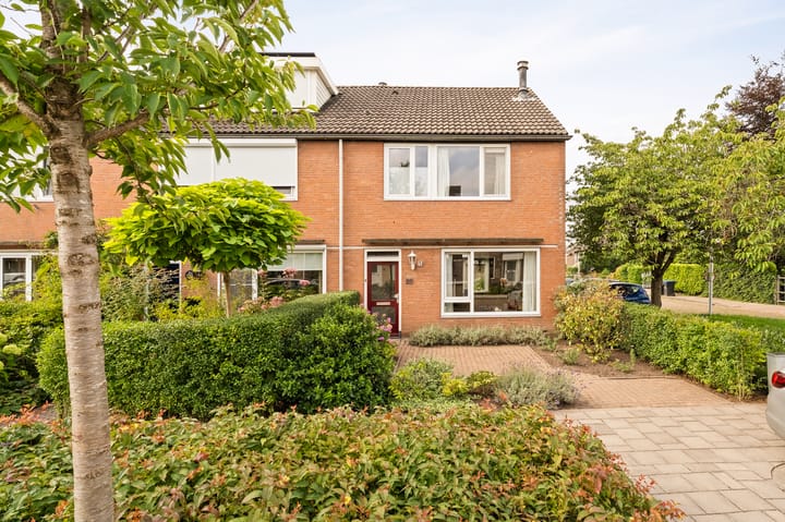 Foto 8 van Boterbloem 22