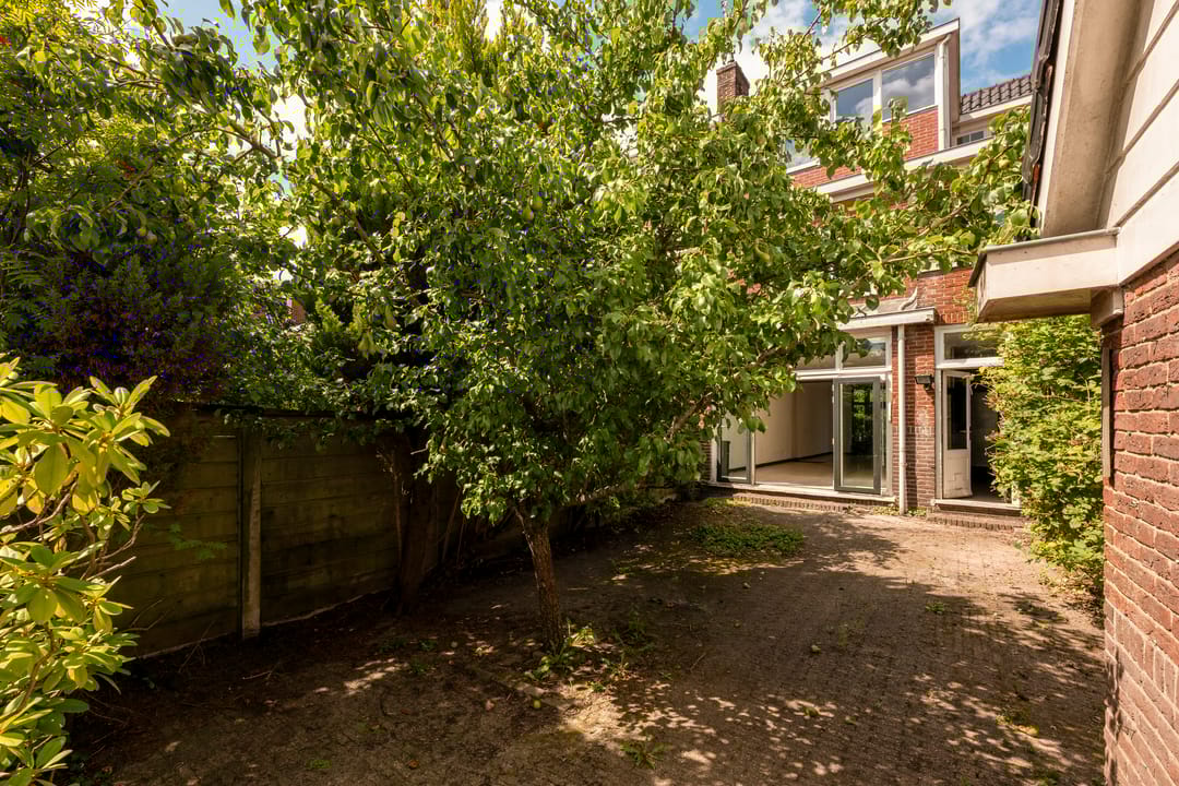 Photo 16 of Plantsoen Laanhorn 16