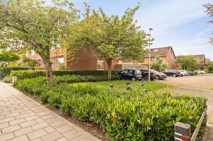 Foto 9 van Boterbloem 22