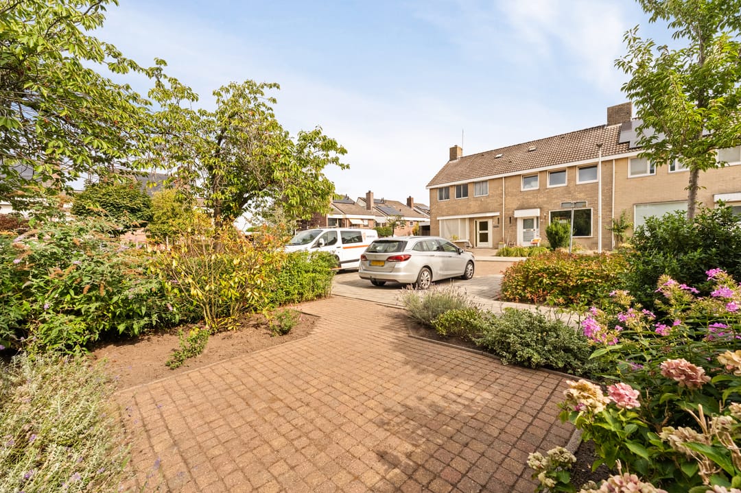 Photo 11 of Boterbloem 22