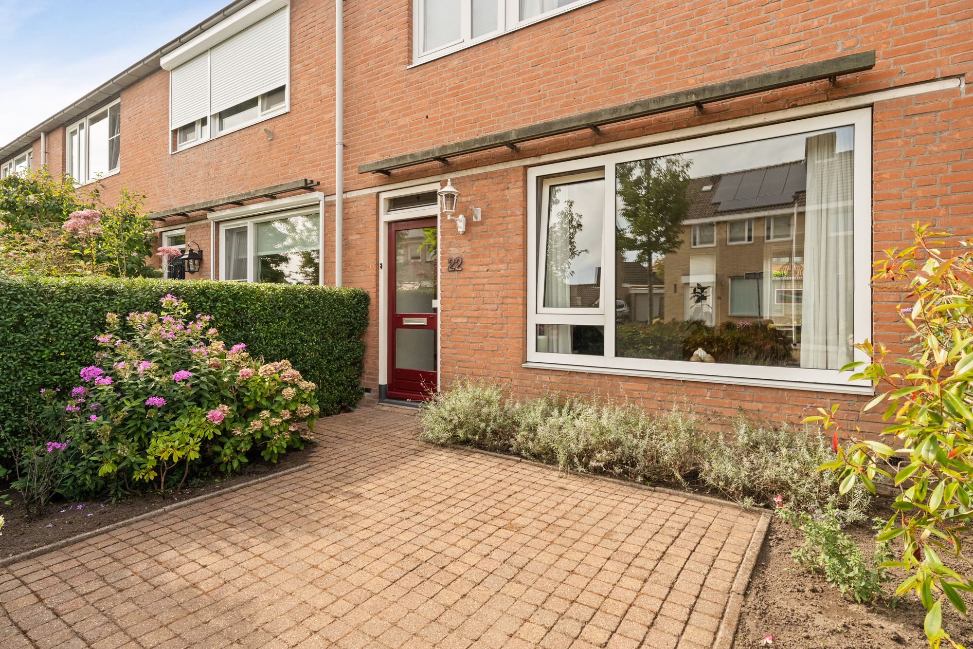 Photo 12 of Boterbloem 22