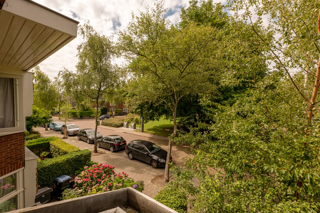 Photo 23 of Plantsoen Laanhorn 16